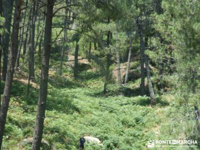 Pinares de Piedralaves; pueblos abandonados en madrid viajes tramuntana rutas de las caras